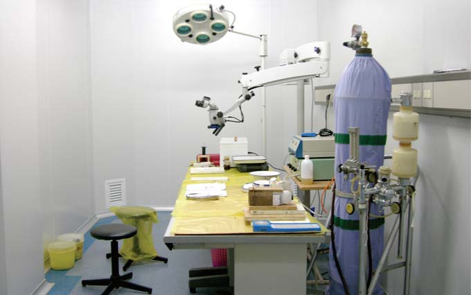 Section of Laboratory Animal